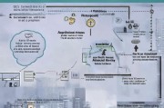 技能补贴申请全攻略，从条件到流程，手把手教你领补贴